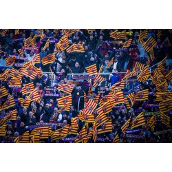 Camp Noulla vain voitot vievät voiton